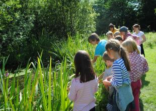 Pond dipping
