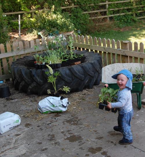 Planting out a tractor tyre